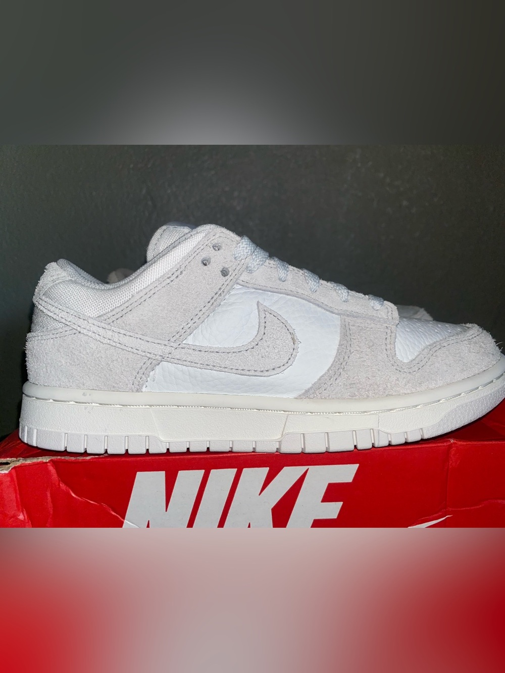 Nike Low-Top Sneakers in White and Light Gray